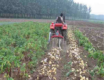China Equipamento de cultivo pequeno da pequena escala da maquinaria agrícola de duas fileiras fornecedor